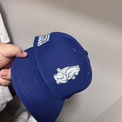 Cubs Fitted Hat