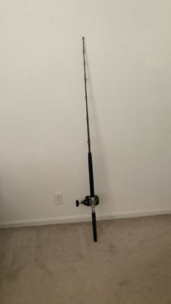 Daiwa Sealine lever drag 30 single speed with Penn custom power stick 6 ft