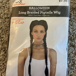Long Braided Pigtails Wig