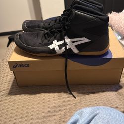 Wrestling Shoes And Earpiece I