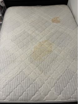 Queen Sized Mattresses