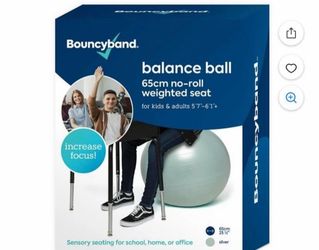 Bouncybands® Balance Ball 65cm Silver