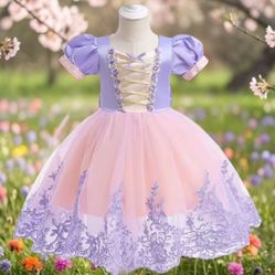 Pink And Purple Dress   Size 3T