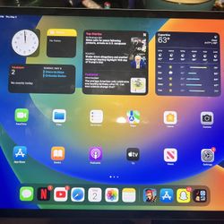 iPad Pro 12.9 Inch Wi-Fi + Cellular 