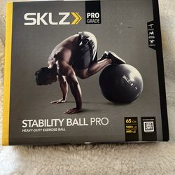 SKLZ PRO GRADE STABILITY BALL PRO