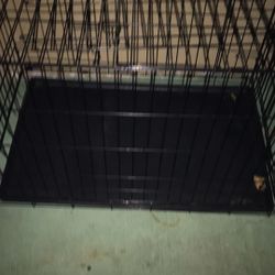 Large Dog Kennel