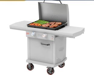 LoCo COOKERS Chalk 2 -Burner Liquid Propane Gas Grill