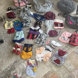 Small Dog Outfits And More 