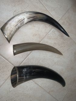 Cow Horns Decor