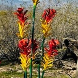 Extra Large Over 5 Feet Tall Ocotillo Decorative Vibrant Colorful  Metal Yard Art