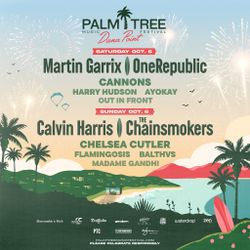 4 Wristbands Palm Tree Festival