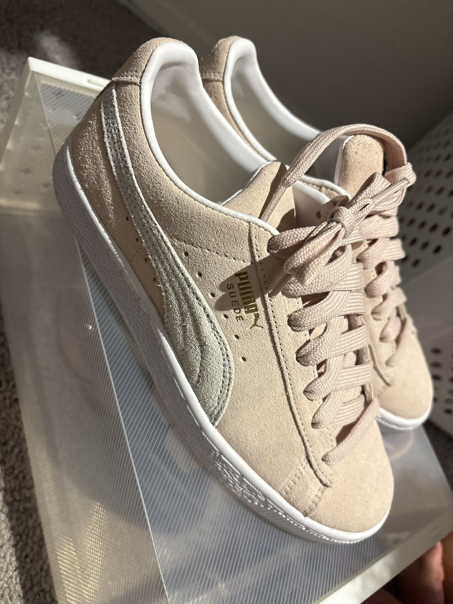 Puma