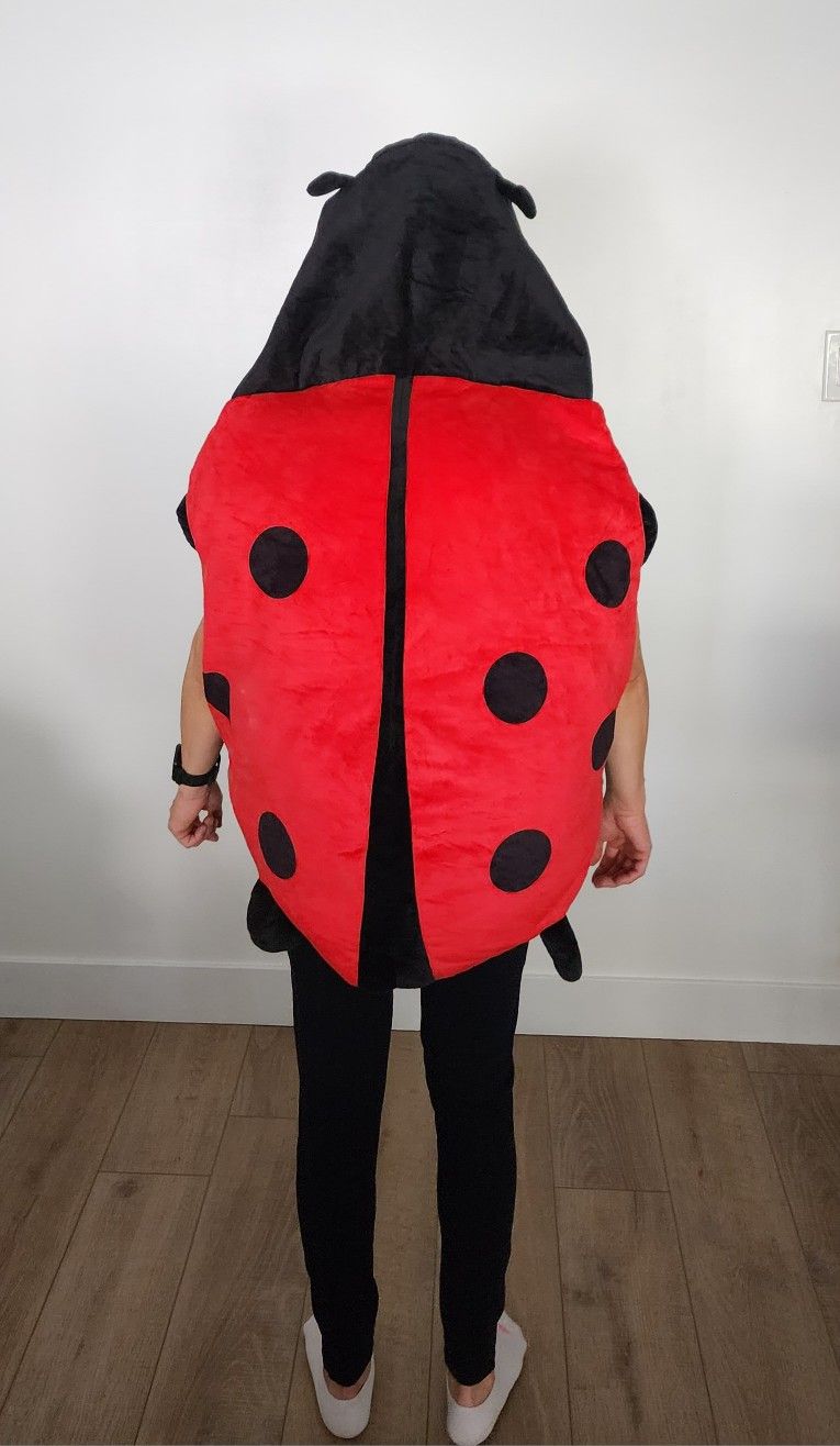 Adult Ladybug Halloween Costume $5