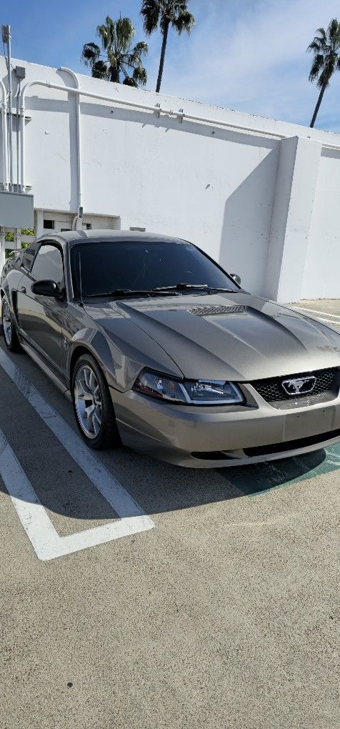 2001 Ford Mustang