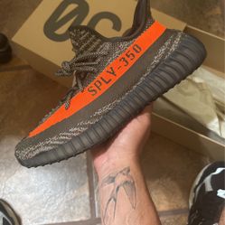 Yeezy 350 Carbon Beluga Size 11.5