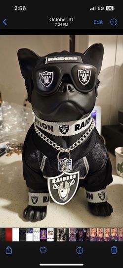 Brand New Blue Tooth Raider Dog