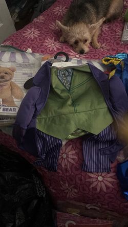 Joker Pet Halloween Costume