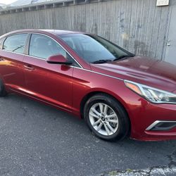 2014 sonata 