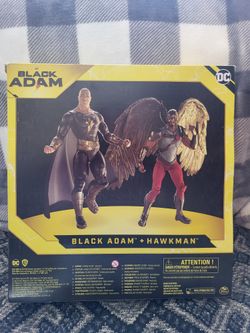 DC Comics Black Adam and Hawkman Set