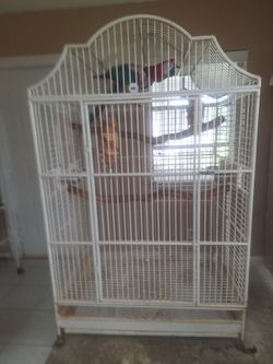 Macaw Kings Cage