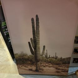 Large Saguaro Canvas 