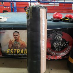 Punching Bag 