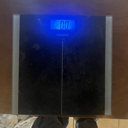 Scale