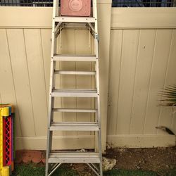 6 Ft. Aluminum Ladder