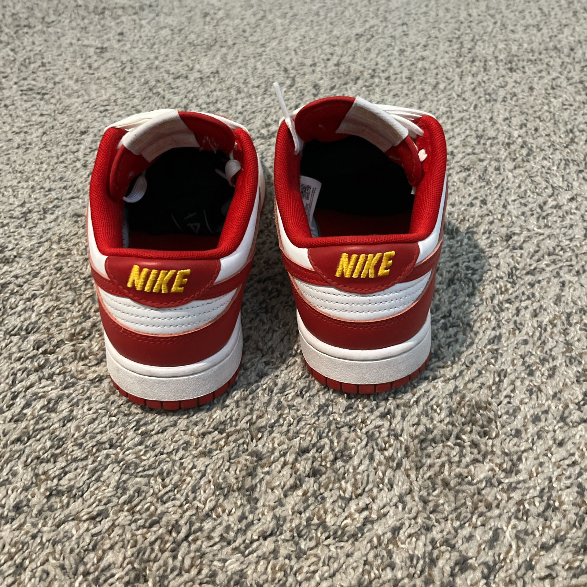 Nike dunks low retro