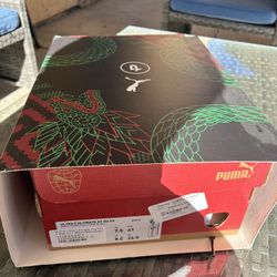 Puma ultimate 