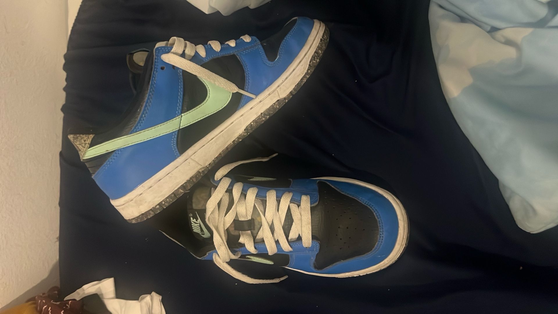Nike dunks