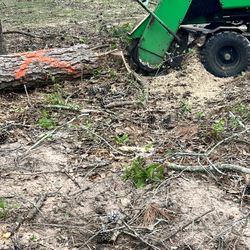 Stump  Grinding 