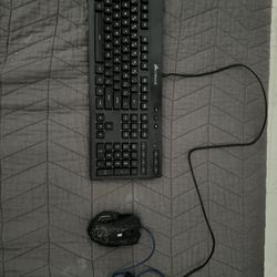 Corsair Keyboard and Magic Eagle Mouse