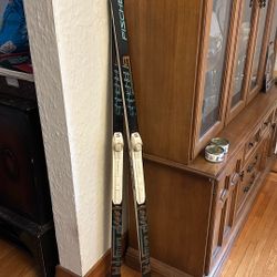 Fischer Cross Country Skis