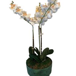 Potted Faux Artificial Flowers Realistic White Orchids in Pot Decor 35”H NWT