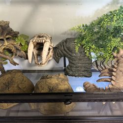 Tank Decor/ Hides