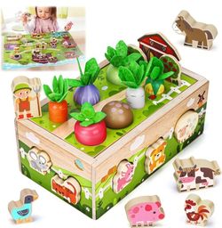 Montessori Sensory Farm Toy