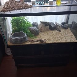 Reptile  enclosure