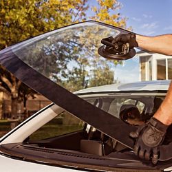 Kia Hyundai Honda Windshields 