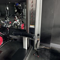 Freemotion Preacher Curl