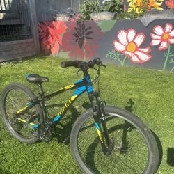 Giant Revel 2 Mountain Bike 