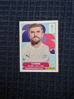 2026 Panini FIFA World Cup USA Sticker TIM PAYNE NZL6