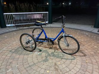 Worksman Adult Three-Wheel Tricycle