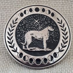 Wizardry School Collectors Coin - Astrology Class - Harry Potter Inspired