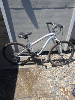 Schwinn Side Winder