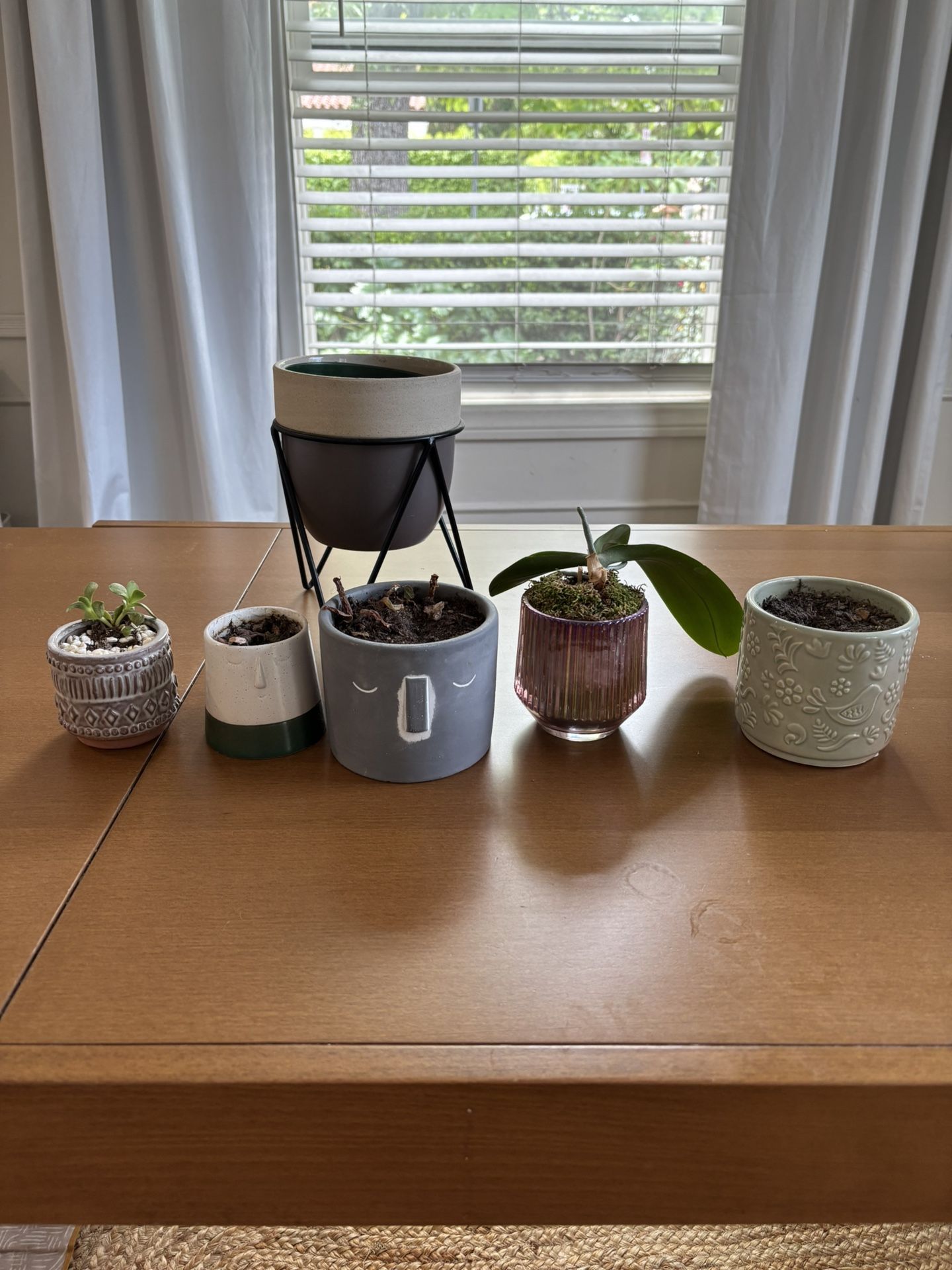 Plant Holders