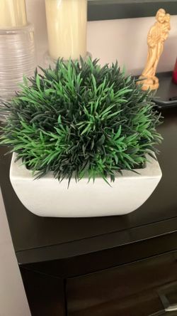 Crate&Barrel Faux Plant