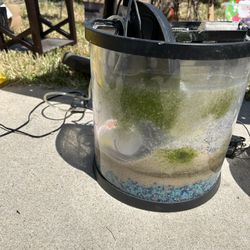 A Small Fish Tank With Everything $25