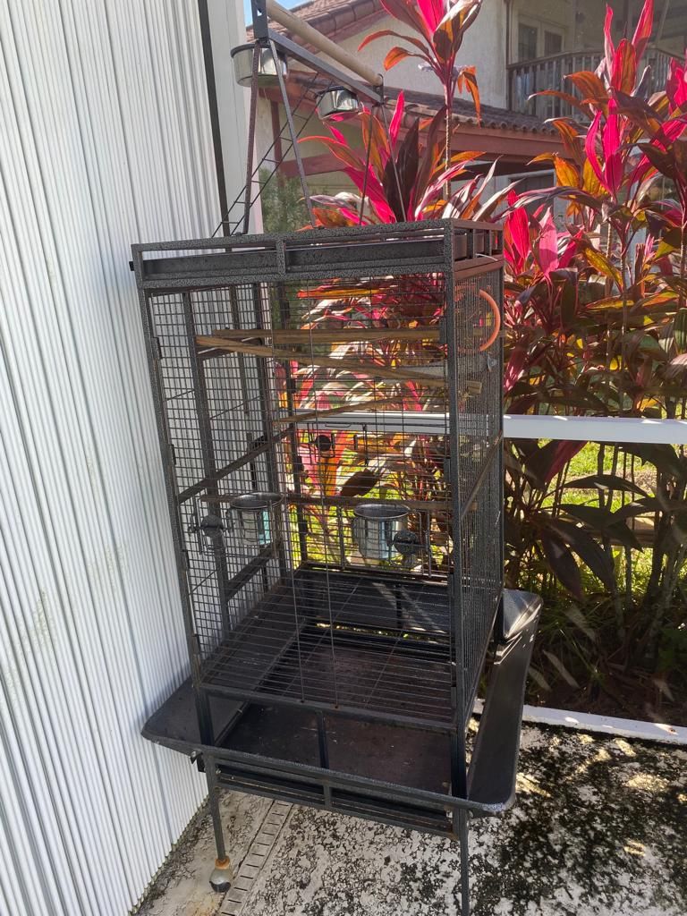 Bird Cage Like New