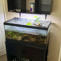 40 Gallon Tank And Cabinet